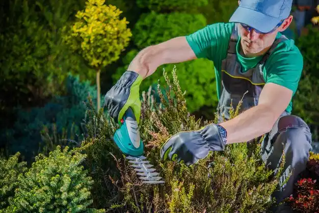 landscaping services Zilwaukee